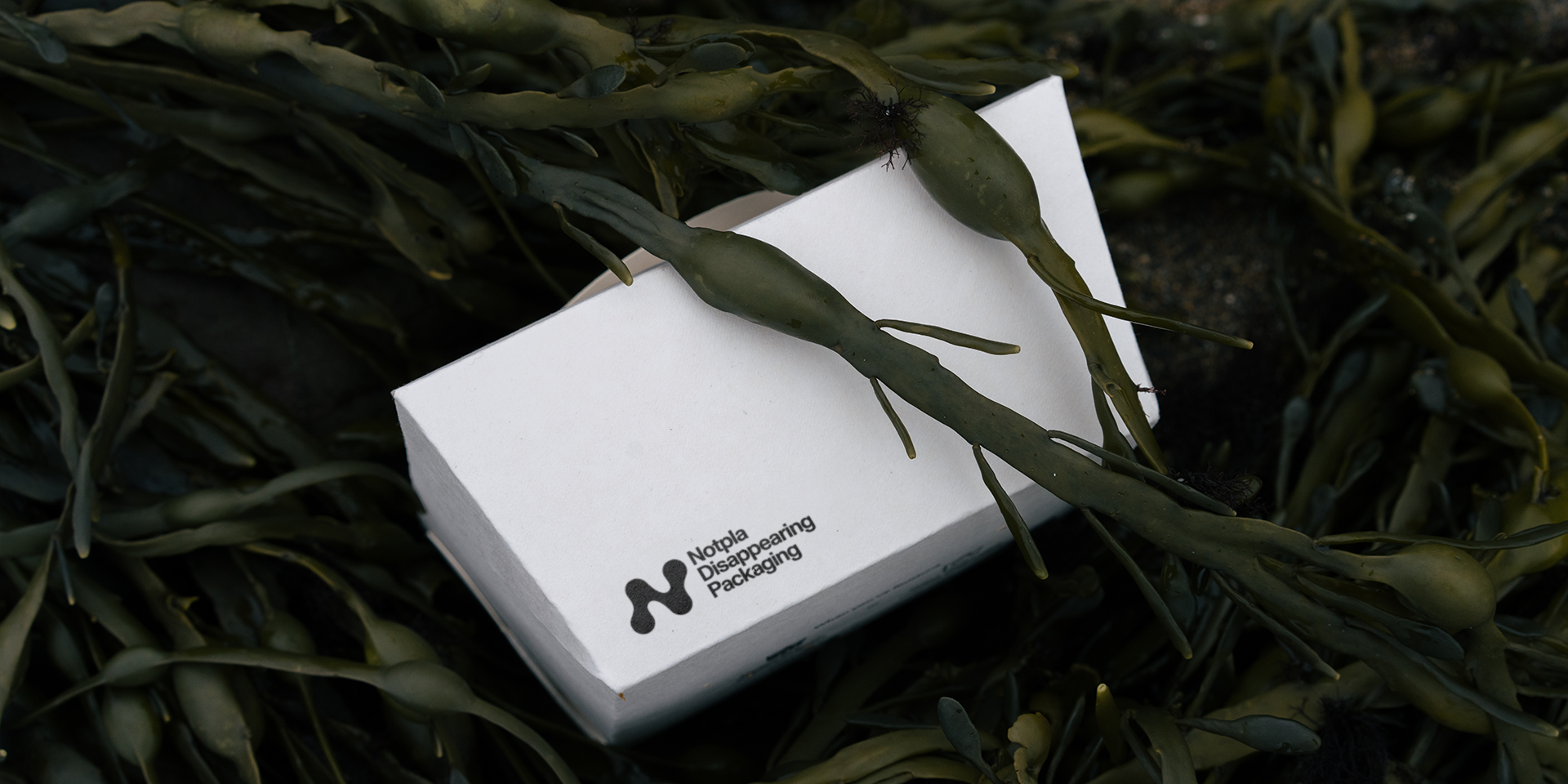 Notpla secures unprecedented £20 million (over US$25 million) in equity fundraising to drive US expansion and innovation in sustainable seaweed-based packaging, replacing over 100 million of single-use plastics